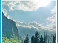 धराली :विल्सन से शुरु हुआ देवदार काटने का शिलशिला आज भी जारी है ….